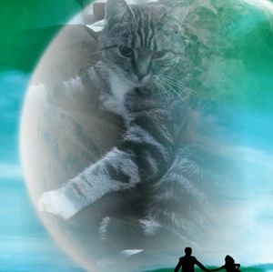 Meet your Posher, Dylan